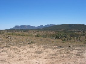 IMG_0101