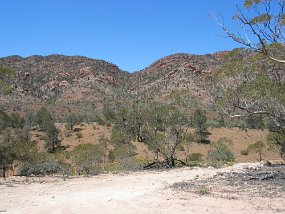 IMG_0102