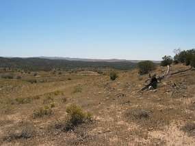 IMG_0104