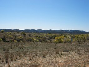 IMG_0106