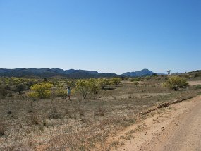 IMG_0107