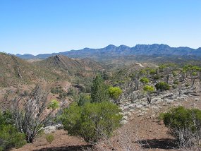IMG_0108
