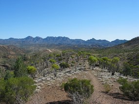 IMG_0109