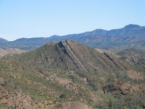 IMG_0110
