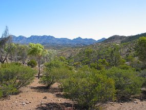 IMG_0111