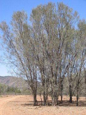 IMG_1957