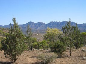 IMG_1968