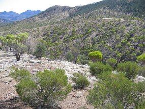 IMG_1970