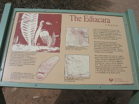 IMG_0130