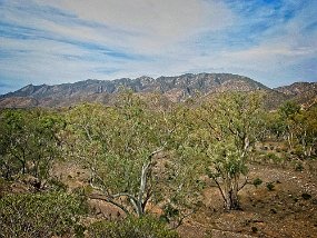 IMG_0134 adj