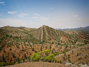 IMG_0145 adj