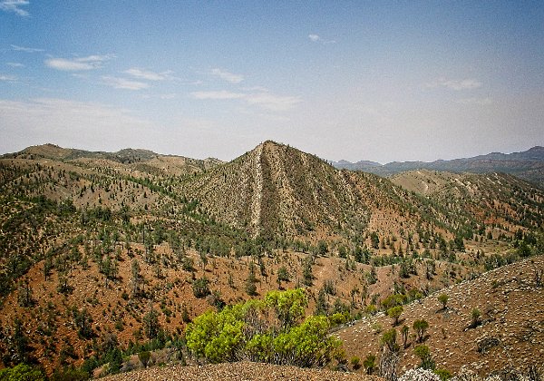 Bunyeroo Gorge