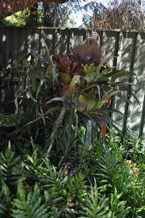 DSC_0134