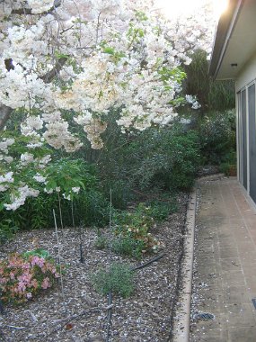 Walkway