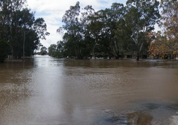 2010 Flood