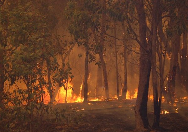 Fires 2006